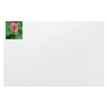 Blue dragonfly on pink flower green background custom stationery