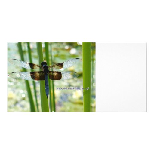 Blue Dragonfly Photo Card