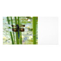 Blue Dragonfly Photo Card