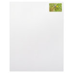 Blue Dragonfly Photo Custom Letterhead