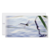 Blue Dragonfly Photo Cards