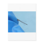 blue dragonfly postcard