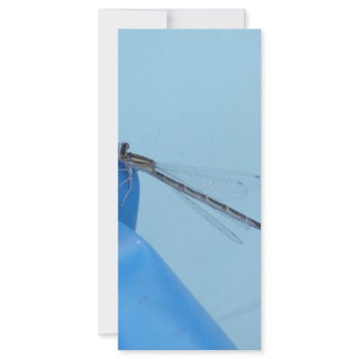 blue dragonfly custom rack card by pinkypetals