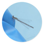 blue dragonfly sticker