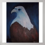 Blue Eagle Poster