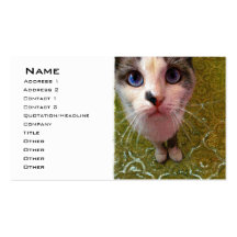 Blue Eyed Cat Business Card template