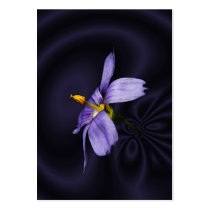 Blue Eyed Grass ~ ATC