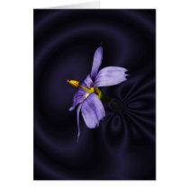 Blue Eyed Grass ~ card