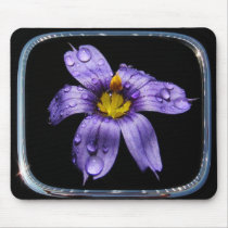Blue Eyed Grass framed~ mousepad