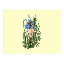 Blue-Eyed Grass Post Cards