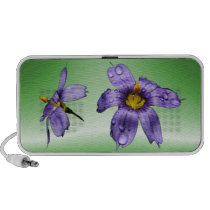 Blue Eyed Grass ~ speaker