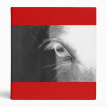 Blue eyed horse binders