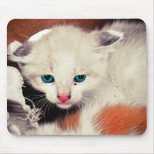 Blue eyed kitten mousepad