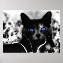 Blue-Eyed Kitty Posters