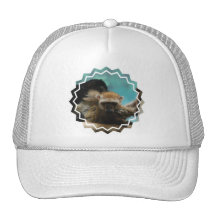 Blue Eyed Lemur Baseball Hat