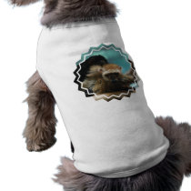 Blue Eyed Lemur Pet Shirt
