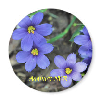 Blue Eyes Fridge Magnets