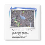 Blue Feather and Love Poem magnets