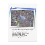 Blue Feather and Love Poem Post Card