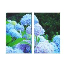 Blue Floral Botanical Canvas prints Hydrangeas