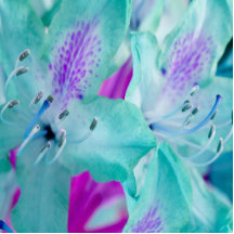 Blue Floral Photo Sculpture