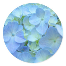 Blue Floral stickers Envelope seals Hydrangeas