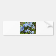 Blue Flower Bumper Sticker