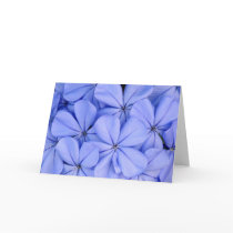 Blue Flower Greeting Card