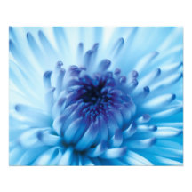 Blue flower photo art