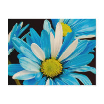 Blue Flowers Postcard