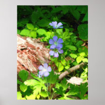 blue flowers poster
