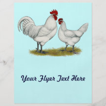 Blue Foot Chickens Flyer
