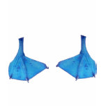 Blue Footed Boobie Feet t-shirts