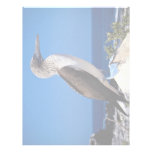 Blue-footed booby, Espaniola Island, Galapagos Personalized Letterhead