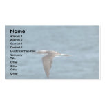 Blue-Footed Booby In Flight Business Card