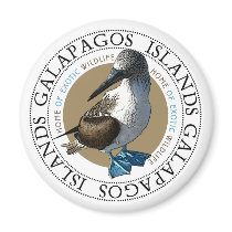 Blue Footed Booby Magnets