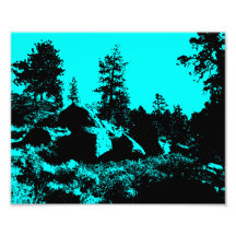 Blue Forest Photo