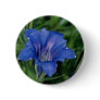 Blue Gentian flowers Pin