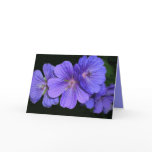 Blue geranium 2 greetings card