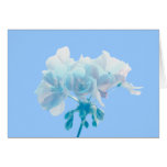 Blue Geranium Cards