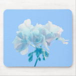 Blue Geranium