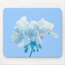 Blue Geranium