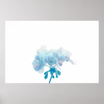 Blue Geranium