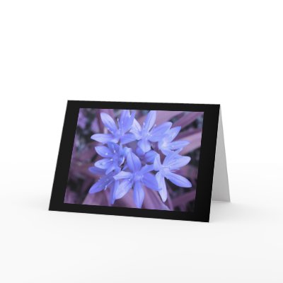 Blue Glory Of The Snow Greeting Card by Fallen_Angel_483