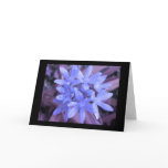 Blue Glory Of The Snow Greeting Card