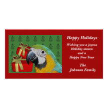 Blue Gold Macaw Parrot Animal Christmas Holiday Ca Personalized Photo Card