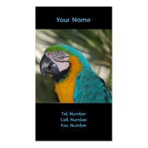 Blue & Gold Macaw Parrot Business Card