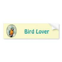 Blue & Gold Macaw with Jungle Background