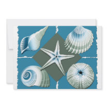 Blue & Green Sea Shells