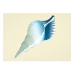 Blue & Green Sea Shells Invitation
